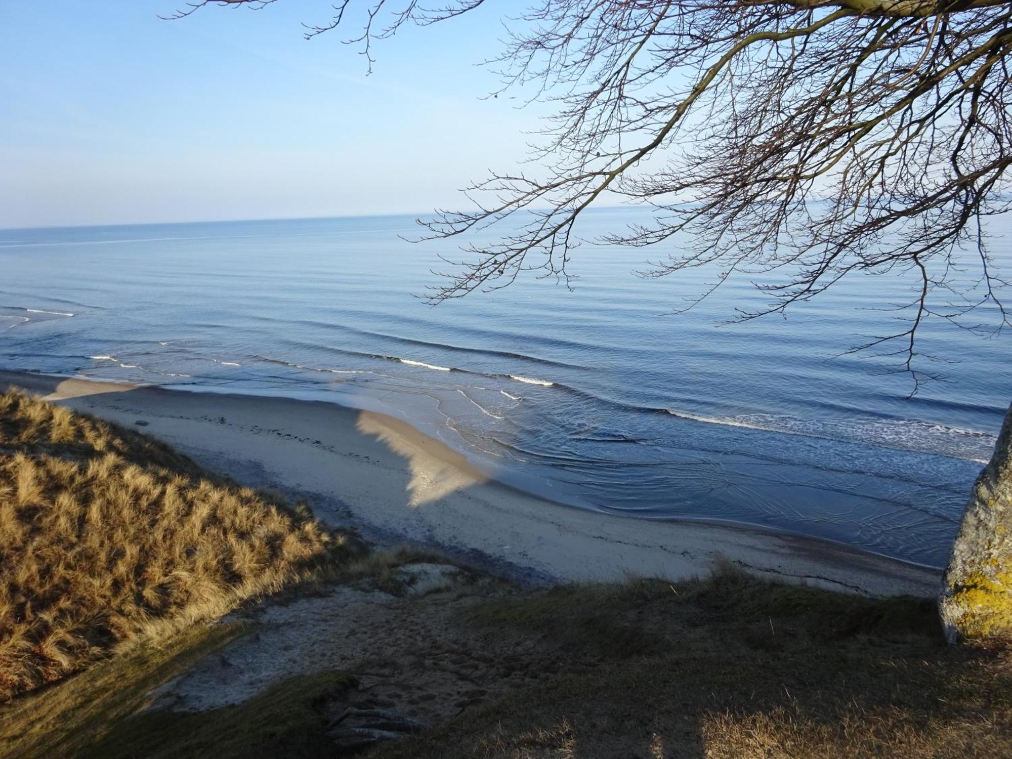 Solrosen I Simrishamn - Oesterlen Luaran gambar