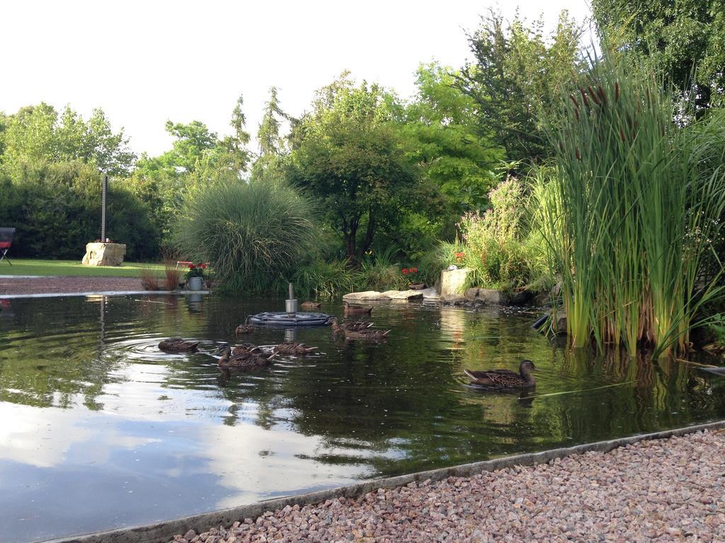 Solrosen I Simrishamn - Oesterlen Luaran gambar