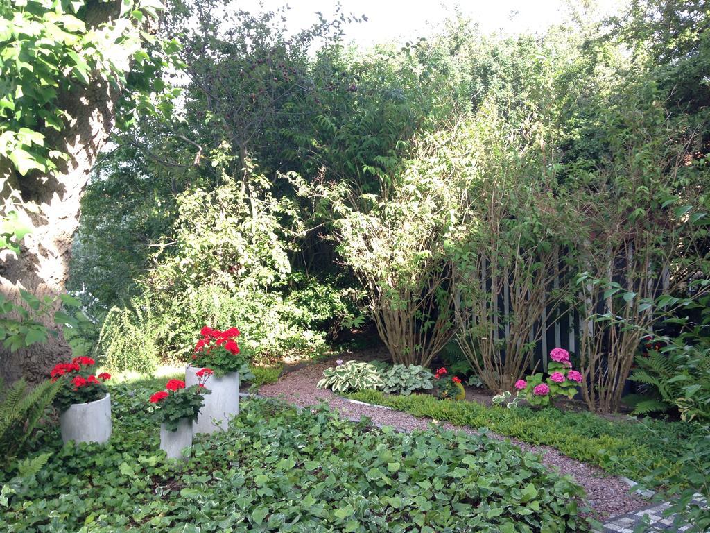Solrosen I Simrishamn - Oesterlen Luaran gambar